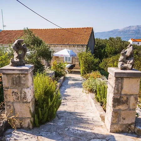 홈스테이 Orgula 1