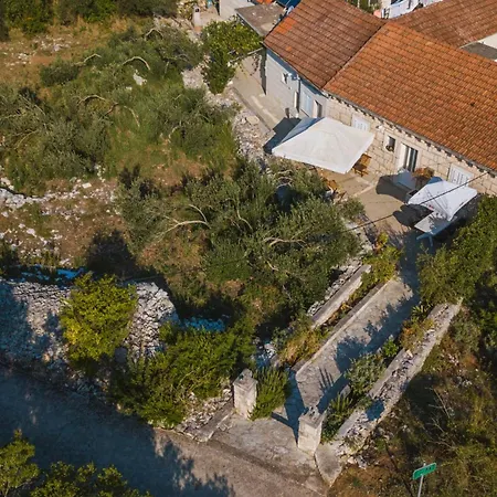 홈스테이 Orgula 1